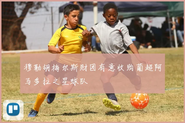 穆勒胡梅尔斯财团有意收购葡超阿马多拉之星球队