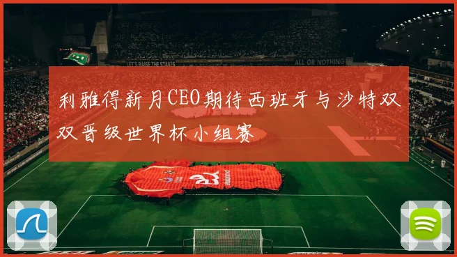 利雅得新月CEO期待西班牙与沙特双双晋级世界杯小组赛